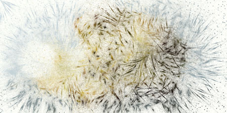 particulate matter created from image of fungus