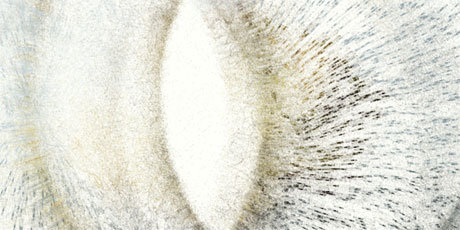 particulate matter created from image of fungus