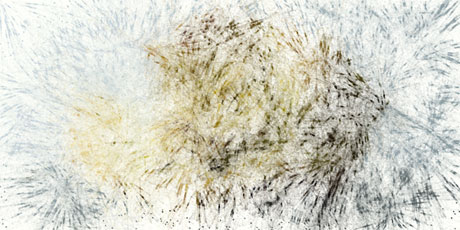 particulate matter created from image of fungus