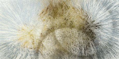 particulate matter created from image of fungus