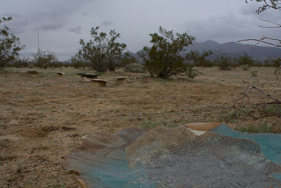 close-up of a ceramic plate with the desert in background