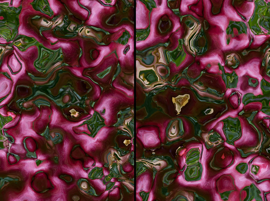 Pomegranate viewed smoothly from many vantages at once.